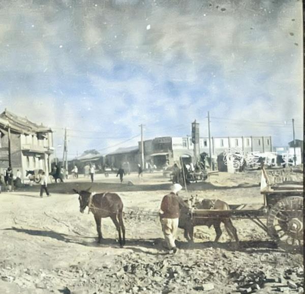 社交媒体项目展示